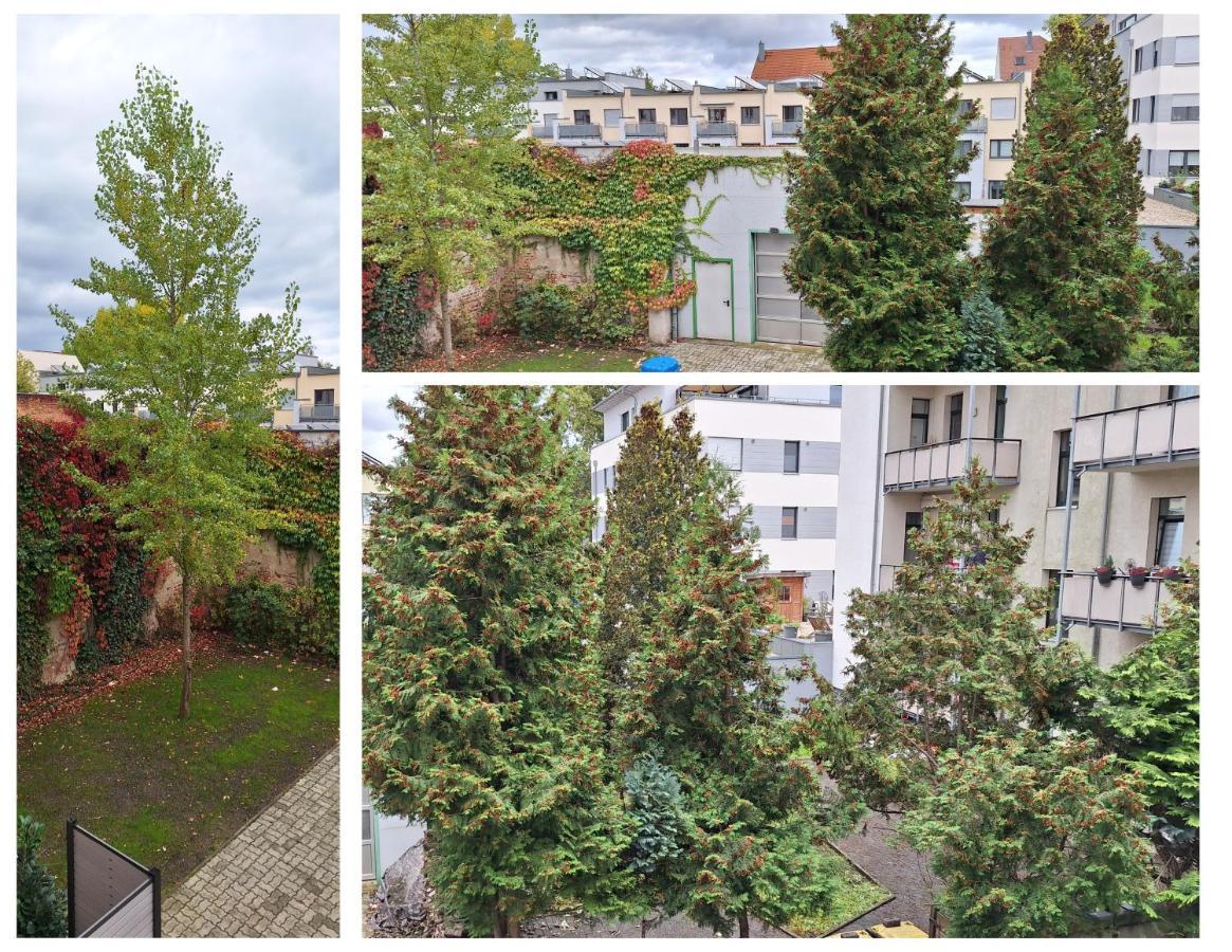 Modernes Einraumzimmer Mit Eigenem Bad, Balkonnutzung, Zentrumsnah - In 10 Minuten Mit Dem Rad Oder Dem Oepnv Zur Arena Und In Leipzigs Innenstadt Eksteriør bilde